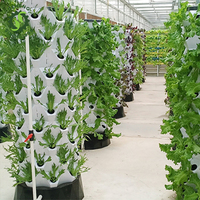 Serre de jardin d'intérieur Serre One-One à usage domestique pour l'agriculture verticale aéroponique hydroponique-Tour de culture de fraises