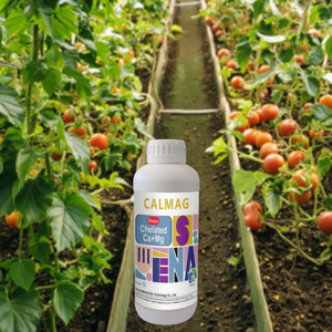 <span class=keywords><strong>Fertilizante</strong></span> Líquido Orgánico Especial de Calcio y Magnesio para Tomates, Repone Rápidamente el Calcio, Previene el Agrietamiento de los Frutos, Aumenta la Cosecha - Product Image 3