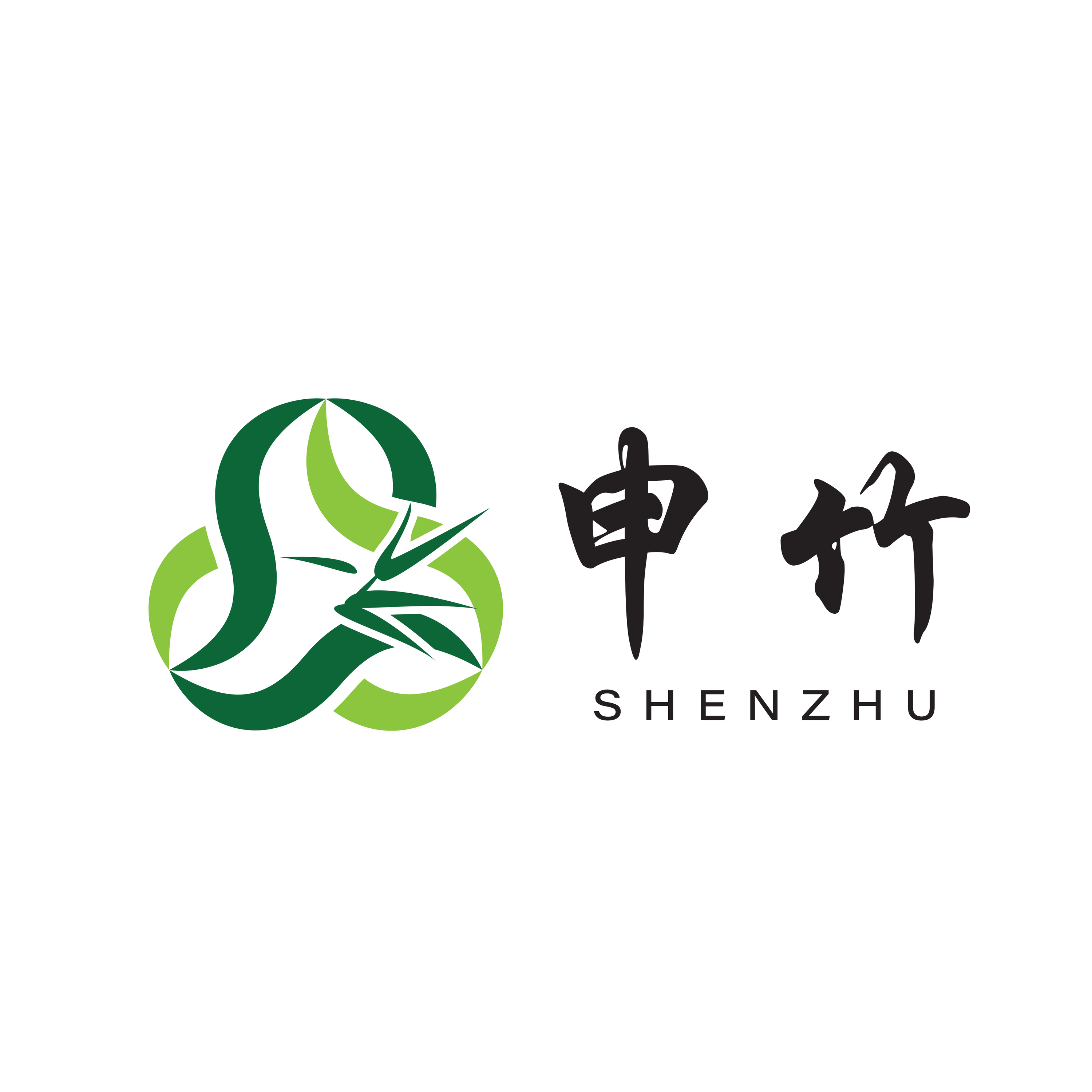 Shenzhu Optoelectronics Technology (jiaxing) Co., Ltd.