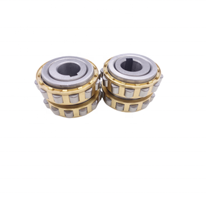 Rodamiento de Rodillos Excéntricos de Doble Hilera Serie RN, Piezas Reductoras RN205M+43 - Product Image 5