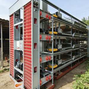 Jaula de Pollo Automatizada Galvanizada con Diseño Proporcionado, Sistema de Jaulas para Aves de Corral, Línea Comercial para Granjas de Mediana Escala - Product Image 1