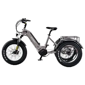 Electric Trike 48V 250W/500W Motor Listrik 3 Roda Sepeda Kargo dengan Suspensi Belakang untuk Orang Dewasa