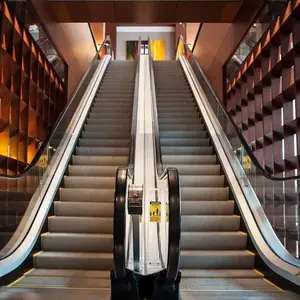 Producer Oem Service Parallel Escalator Commercial for Subway Escalator