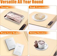 Plateau chauffant électrique pleine surface rapide CF Température réglable à 6 niveaux et minuterie de 6 heures Chauffe-aliments enroulés