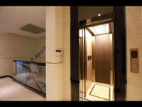 FUJI Home Residential Vertikale Villa Haus Front Elevation Design Aufzug Home Lift/kleiner Home Traction Elevator 260-400KG