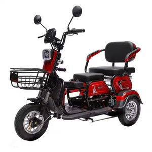 Triciclo Eléctrico de 3 Ruedas y 2 Asientos para Pasajeros - Product Image 1