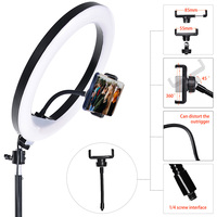 Anneau lumineux pour selfie et maquillage de 13 pouces, lumière annulaire LED de 33 cm avec trépied