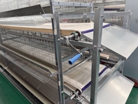 Nouvelle cage automatique pour poules pondeuses, cage à batterie de type H en acier inoxydable et acier galvanisé, facile à nettoyer, pour ferme avicole complète