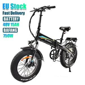 Fiets Elektrische Ebike 접이식 전기 자전거 750W Bafang 모터 48V 15AH 리튬 배터리 팻 타이어 전기 자전거