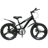Vélo de montagne à une vitesse pour adultes SY de bonne qualité, 20 pouces, roue monobloc, vélo léger pour hommes et femmes
