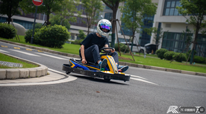 <span class=keywords><strong>Kart</strong></span> électrique professionnel 600W - Vitesse maximale 26 km/h, double amortisseur, pour la course et l'extérieur - Product Image 2