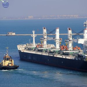 Trung Quốc để Chennai, Ấn Độ giá rẻ củng cố FCL/lcl từ Ningbo/Thâm Quyến/Quảng Châu Khoảng 6-13 ngày exw Fob CIF 20ft 40ft - Product Image 3