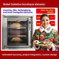 Bokolong Premium Nouveau Monte-charge Électrique Robuste pour la Livraison de Nourriture, pour Cuisines de Restaurant et Utilisation Scolaire, Machine Chauffante