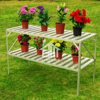 Vente directe d'usine, support à plantes en métal à 2 niveaux avec 14 barres par niveau, étagère de jardin résistante à la rouille pour l'extérieur/l'intérieur