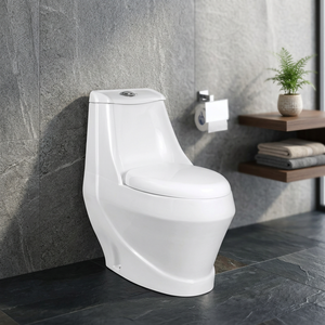 สุขภัณฑ์สำหรับ jorden สุขภัณฑ์อินเดียที่นั่งชักโครก1ชิ้น - Product Image 6