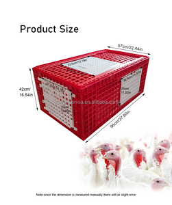 Gabbia di Trasporto per Pollame di Grandi Dimensioni in Plastica per Tacchini, Galline Ovaiole e Polli da Carne - Vendita Calda - Product Image 2