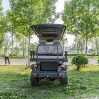 Voiturette de golf électrique surélevée 4 places, Voiturette de golf électrique multimédia 6 places, Vente en gros directe usine