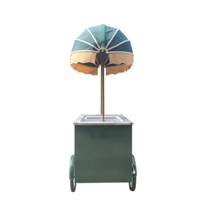 Mobile Ice Cream Cart for Outdoor Ice Cream Display Container <b>Freezer</b> - Product Image 1