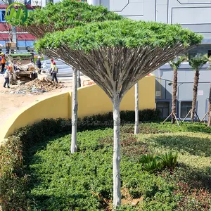 Faux dracaena fragrans arbre en fibre de verre grand arbre artificiel Yucca haute simulation dracaena arbre pour la décoration onutdoor