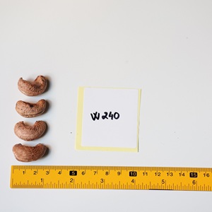 Nueces de Anacardo Tostadas de Vietnam, 500g, Listas para Usar, Granos de Anacardo W240 en Caja de Regalo de Papel Premium - Product Image 3