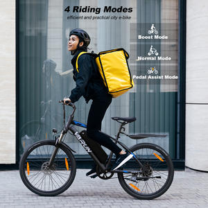 Vélo électrique de montagne VARUN à autonomie de 50 km, modèle M24-1, 24 pouces, 250 W, pour sentiers légers, jeunes, en stock dans l'UE, directement de l'usine - Product Image 5