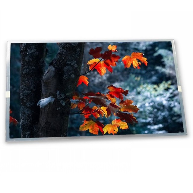 Best-seller 27 Inch Lcd Panel M270DAN02.1 2560*1440 LVDS Lcd Display W/O Driver