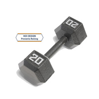 Set Dumbbell Heksagonal Kustom OEM, Beban Gym Ergonomis dari Besi Cor dengan Rak untuk Latihan di Rumah bagi Pria dan Wanita
