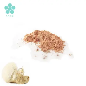 OEM Capsules Organic Lion's Mane Mushroom Extract Polysaccharides 50% Powder