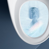 WC à siphon allongé à double chasse, sanitaires de gros, WC à poser au sol pour salle de bain