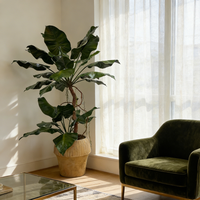 Plantes artificielles Alocasia de haute qualité de 210 cm en pot, design élégant, décoration pour la maison, le bureau, l'hôtel, fausse plante Alocasia dans un pot en ciment