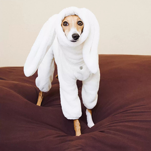 设计师狗定制宠物服装。冬季可拆卸兔毛睡衣。高导电纤维超厚柔软羊毛衫 - Product Image 4