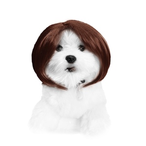 Pelucas de Navidad para Mascotas, Perros y Gatos, Estilo Bobo con Partidura Central Marrón, Accesorios Navideños para Mascotas, Ideales para Halloween y Navidad - Product Image 1