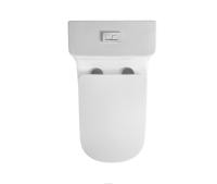 WC monobloc moderne en céramique à chasse d'eau siphonique double, siège à fermeture douce, pour hôpital, hôtel, villa, avec siphon en S ou en P