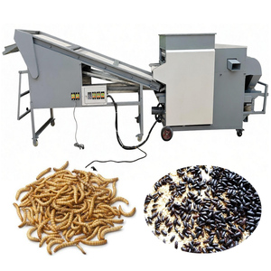 Machine de séparation, de tri, de sélection et de ramassage des larves de Tenebrio <span class=keywords><strong>Molitor</strong></span> (vers de farine jaunes) - Product Image 1