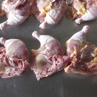 Cuisses de poulet halal certifiées avec peau, en vrac, 650g+, en boîte, pour la restauration en gros et applications culinaires polyvalentes