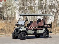 Voiturette de golf électrique tout-terrain 2 places au design luxueux, homologuée pour la route, batterie 60V, mini-voiturette de golf personnalisable