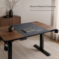 Table de bureau réglable en hauteur, silencieuse, électrique, pour la maison, le bureau et l'apprentissage, design moderne, plateau en métal et en bois