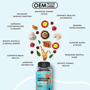 OEM ODM Etiqueta Privada gomitas de setas suplementos niños aplicable memoria cerebral concentración caramelo forma de dosificación caramelo de goma - Product Image 3