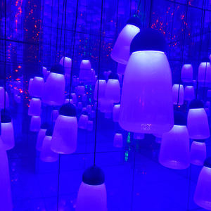 <span class=keywords><strong>Laberinto</strong></span> <span class=keywords><strong>de</strong></span> espejo interior <span class=keywords><strong>de</strong></span> atracción para adultos a la venta para paseos en parques <span class=keywords><strong>de</strong></span> atracciones y centros comerciales - Product Image 6