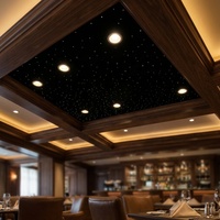 Panneau de plafond LED à fibres optiques de haute qualité pour un ciel étoilé, idéal pour les cinémas maison
