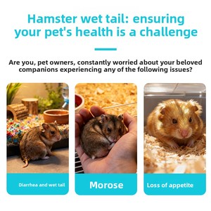 Suplemento para Cola Húmeda en Hámsteres Dorados, Petauros del Azúcar y Hámsteres con Depresión Mental, Suplemento Nutricional para Cola Húmeda - Product Image 5