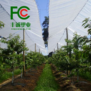 Cubierta <span class=keywords><strong>de</strong></span> plástico transparente para huerto para protección contra la lluvia <span class=keywords><strong>de</strong></span> cerezas Refugio <span class=keywords><strong>de</strong></span> invernadero duradero para uvas, <span class=keywords><strong>fresas</strong></span> y arándanos - Product Image 1