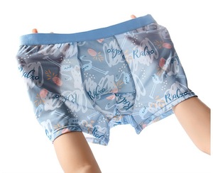 Men's Summer Ultra-Thin Cool Ice Silk Printed <b>Boxer</b> Briefs Large Size Loose Mesh Four-Corner Underwear <b>Custom</b> Logo Waist Fabric - Product Image 2