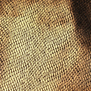 Tela elástica con reverso de punto y patrón de piel de serpiente en cuero sintético para uso en prendas de vestir - Product Image 3