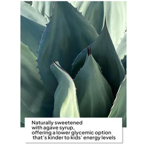 Bâtonnets de gelée de fruits de haute qualité, marque privée, digestion enzymatique, soutien à la santé, immunité, santé des enfants - Product Image 2