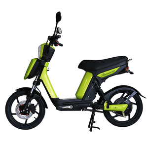Sepeda Motor Listrik Pedal Kustom 2026 dengan Rem Cakram Hidrolik, Motor Listrik, Gudang EU Siap Kirim, Layar LCD, untuk Dewasa - Product Image 2