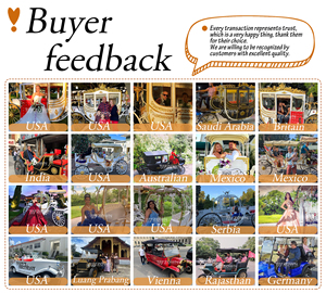 Exquisita Carruada Eléctrica Europea de Lujo de Alta Gama con Capacidad para 6 Personas, <span class=keywords><strong>Velocidad</strong></span> de 40 km/h, para Turismo Público al Aire Libre - Product Image 6