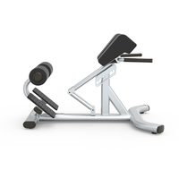 Chaise Romaine Professionnelle Commerciale, Banc d'Hyperextension Réglable, Machine d'Extension Dorsale pour la Musculation et l'Entraînement en Salle de Sport