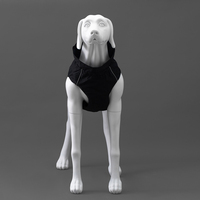 G6 Venta al por mayor Ventana Realista Tamaño real Estatua Exhibición Modelo Perro Maniquí