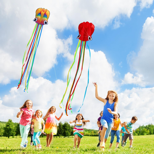 ว่าวปลาหมึก 3 มิติขนาดใหญ่ พร้อมหางยาว ง่ายต่อการเล่น เหมาะสำหรับทริปไปชายหาด กิจกรรมครอบครัว และเกมส์ต่างๆ - Product Image 6